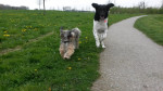 Luna en Puck